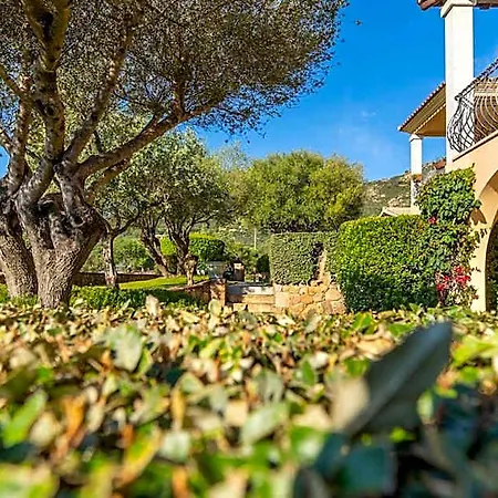 L'uddastru San Teodoro
